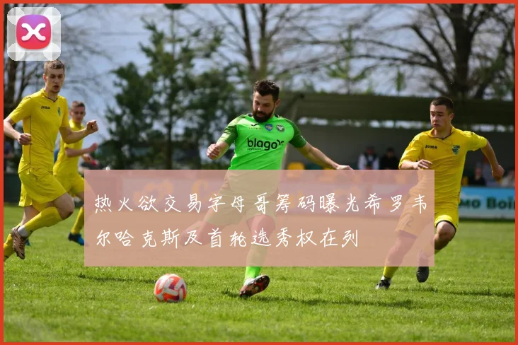 热火欲交易字母哥筹码曝光希罗韦尔哈克斯及首轮选秀权在列